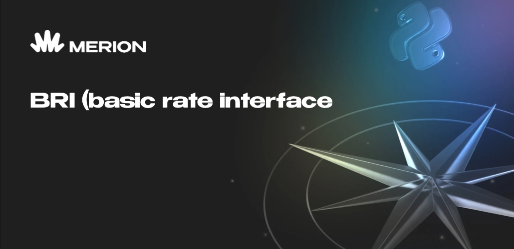 Bri Api R BRI (basic rate interface)